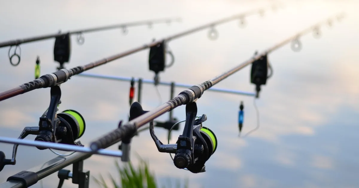 Фидерная оснастка на карпа: варианты монтажа и сборка своими руками