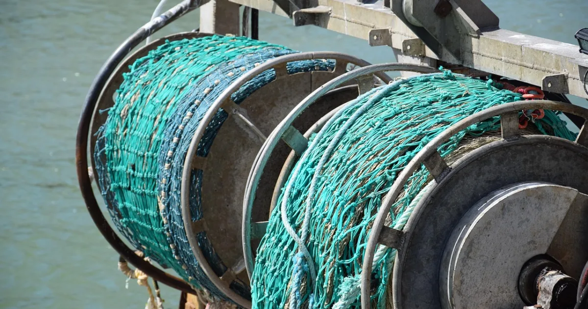 Умные поплавки для рыбалки: виды, принцип работы и реальная польза на водоеме
